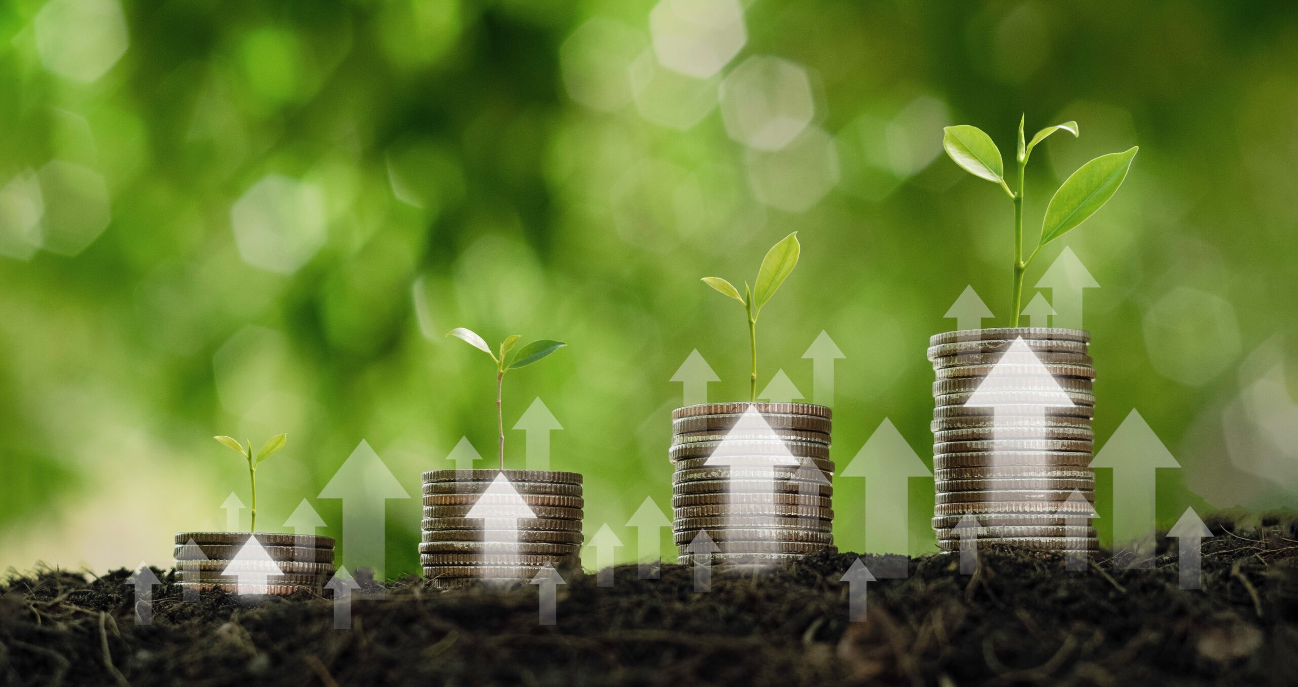 Croissance financière