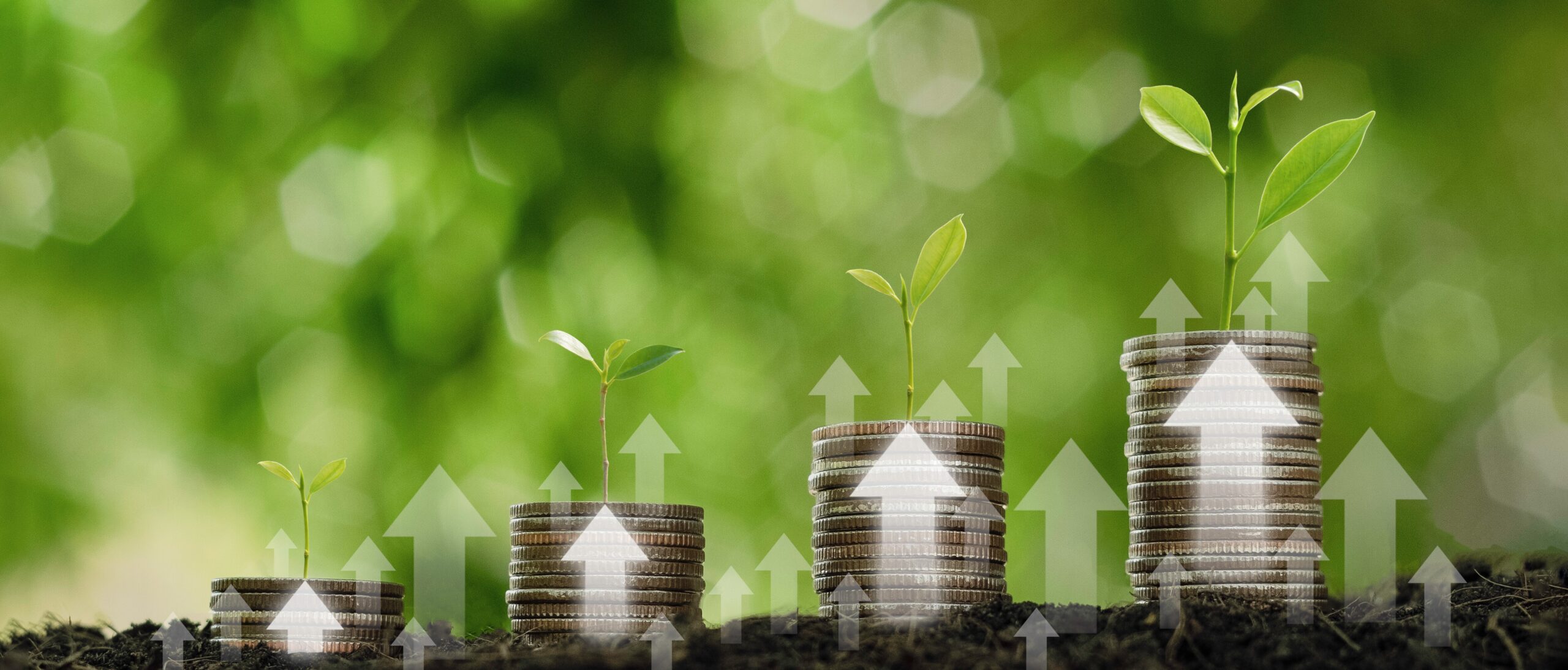 Croissance financière